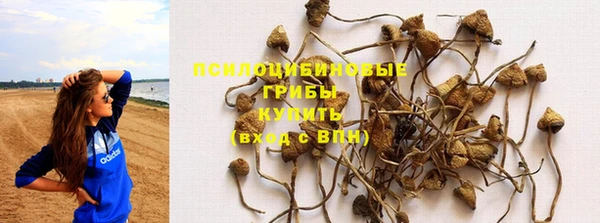 мдма Киреевск