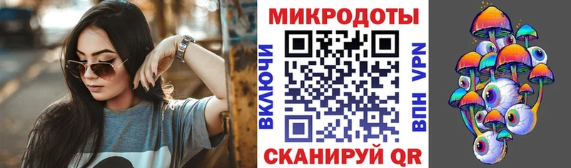 Купить  Данилов  Галлюциногенные грибы MAGIC MUSHROOMS 